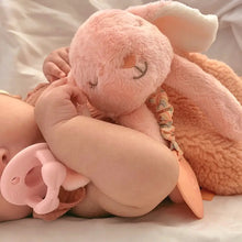 Load image into Gallery viewer, Baby Bunny Lovey + Teething Toy