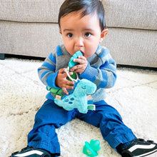 Load image into Gallery viewer, Dinosaur Plush +  Travel Teething Toy
